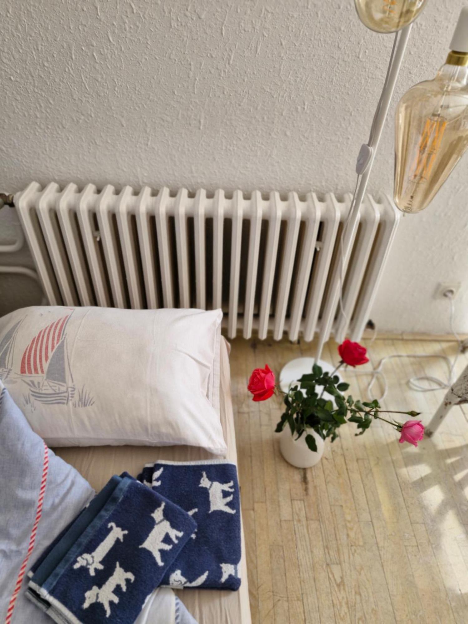 Deki & Kolet Apartment Belgrade Exterior photo